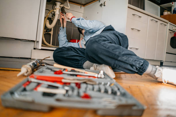Best Plumbing Inspection Services  in Las Quintas Fronterizas, TX
