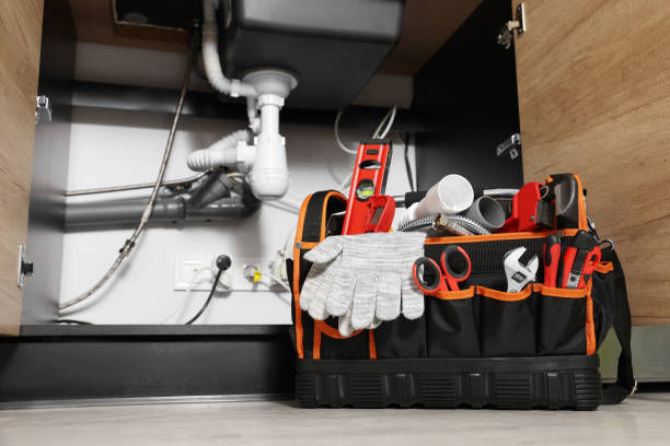 Best Water Leak Repair  in Las Quintas Fronterizas, TX