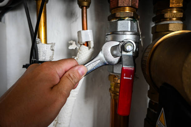 Boilers & Radiators in Las Quintas Fronterizas, TX